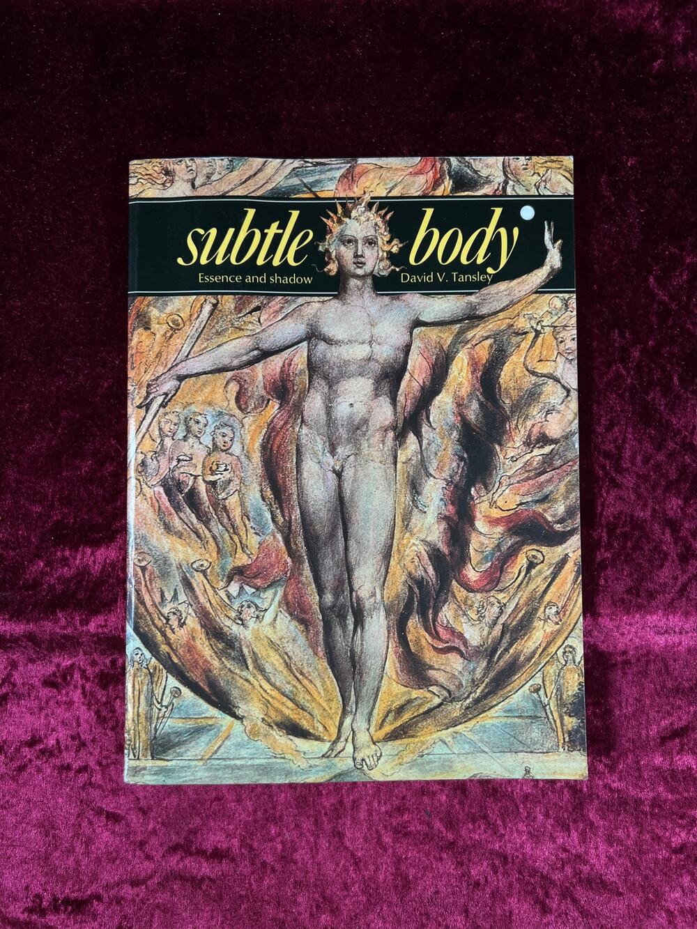 Vintage Paperback Book – The Subtle Body Essence and Shadow David V Tansley 1977